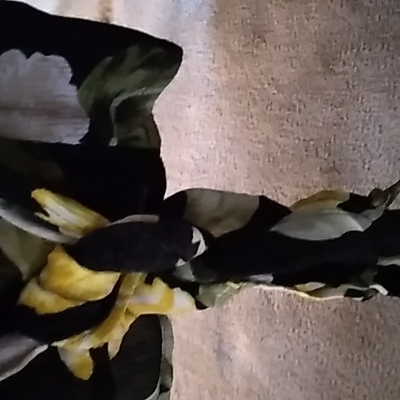 Zara ladies top black, yellow and green small - Picture 3 of 4